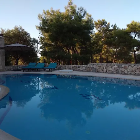 Βίλα Secluded Luxury Private Pool Peaceful Forest Escape In Esentepe Psimolofou