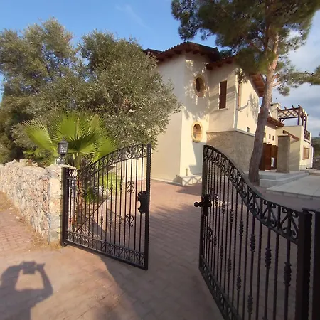 Secluded Luxury Private Pool Peaceful Forest Escape In Esentepe * Psimolofou